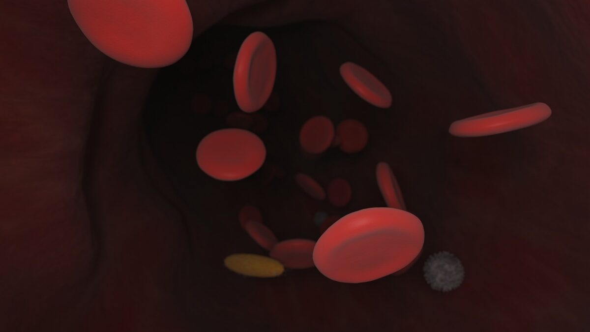 Tipos de Neutrófilos y Trabajo en la Sangre