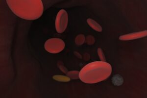 Tipos de Neutrófilos y Trabajo en la Sangre