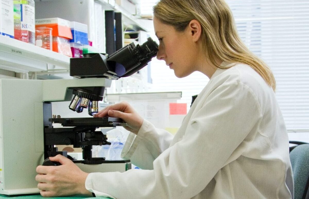 Valores normales de un hemograma y qué significan