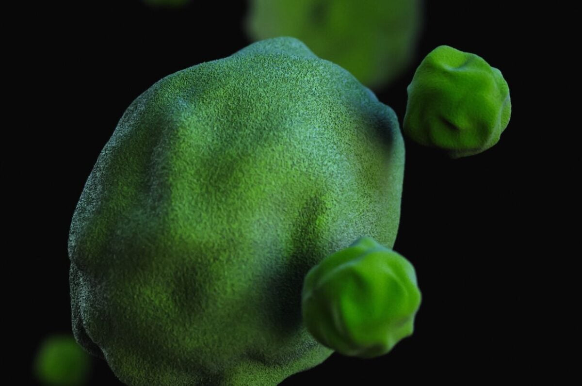 MACRÓFAGOS » Qué son, Funciones y Características