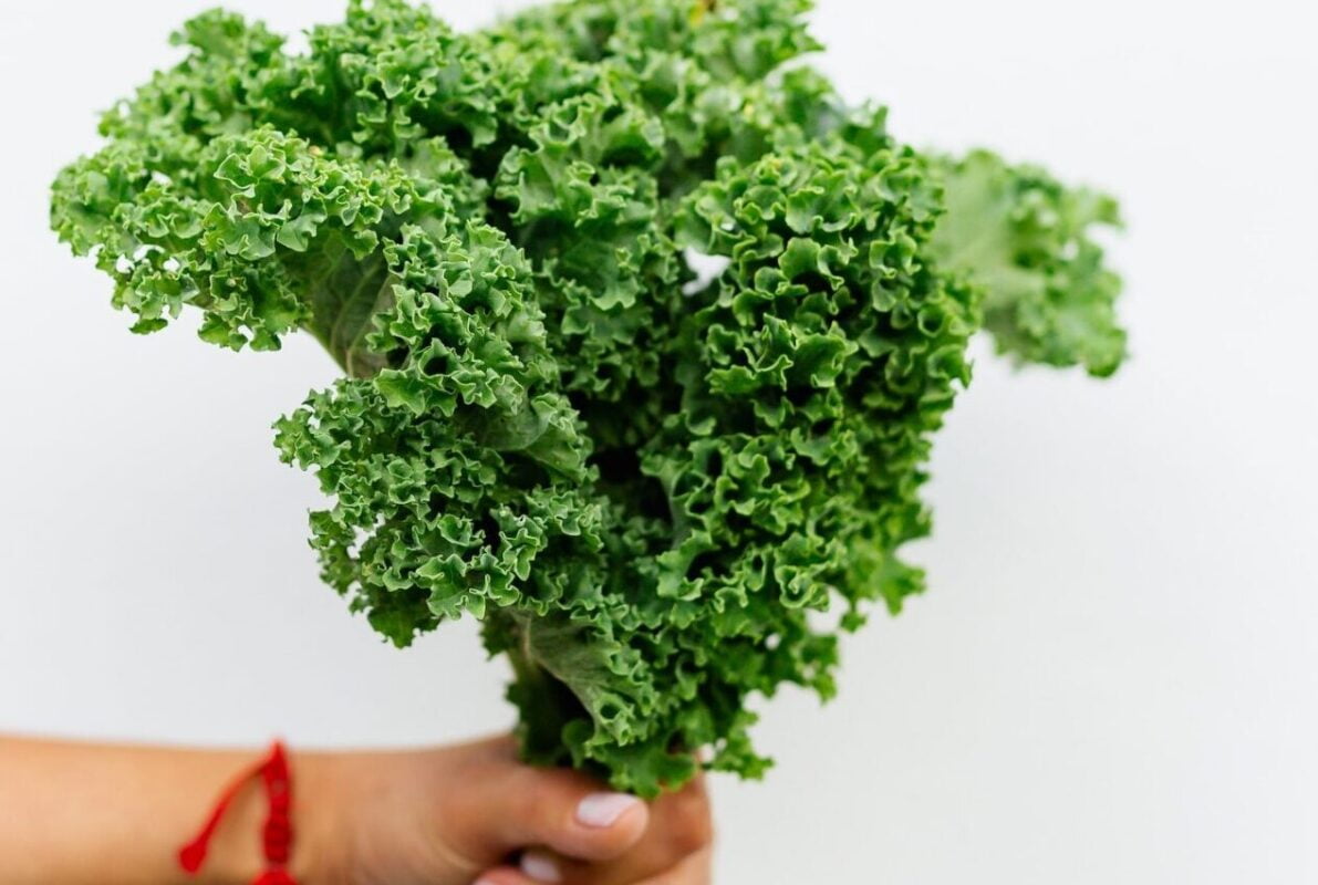 USOS DEL KALE » Formas de consumirlo y beneficios
