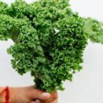 USOS DEL KALE » Formas de consumirlo y beneficios