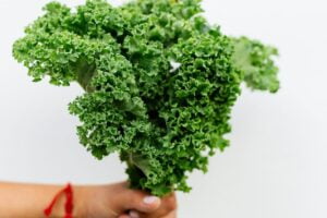 USOS DEL KALE » Formas de consumirlo y beneficios