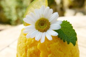 CANTIDAD DE STEVIA RECOMENDADA AL DÍA