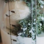 ZUMOS CON KALE » Detox, nutritivos y adelgazantes