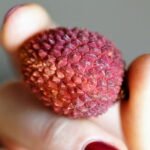 LICHI, UNA ALTERNATIVA A LA NARANJA » Atributos y beneficios