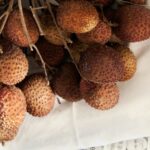 EL LICHI, UNA FRUTA MEDICINAL » Nutrientes y bondades que otorga