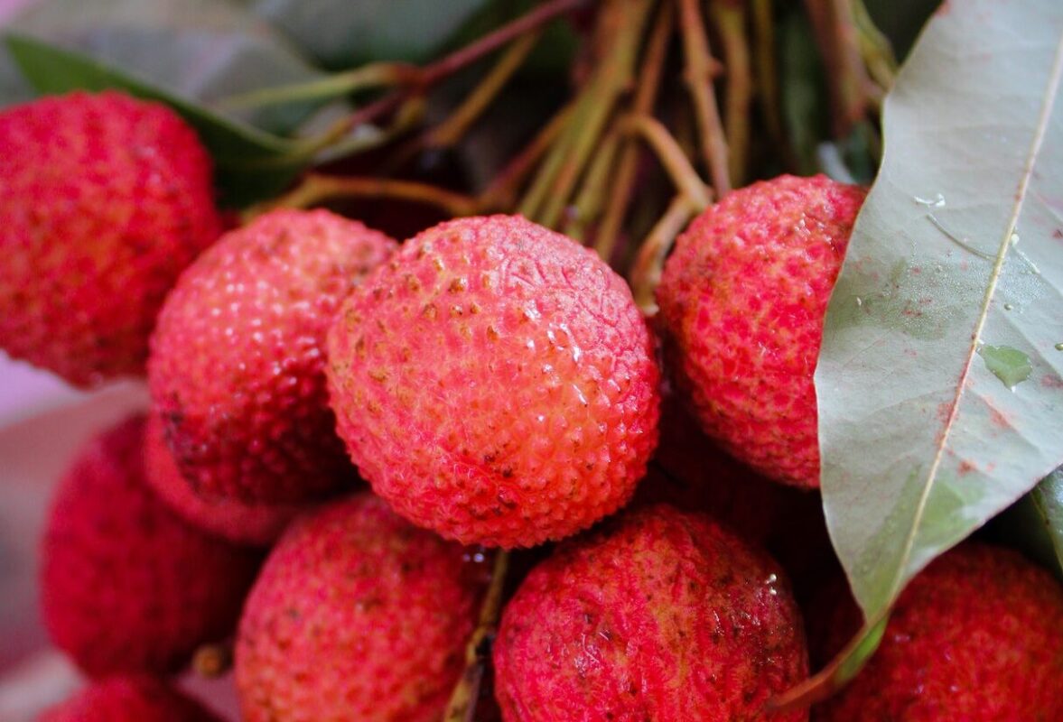 BENEFICIOS DEL LICHI » Propiedades curativas y en la salud