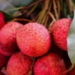 BENEFICIOS DEL LICHI » Propiedades curativas y en la salud