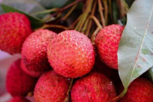 BENEFICIOS DEL LICHI » Propiedades curativas y en la salud