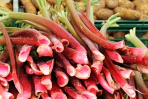 ¿CÓMO CONSERVAR EL RUIBARBO? » Congelación y crudo