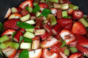 USOS DEL RUIBARBO » Beneficios alimentarios y medicinales