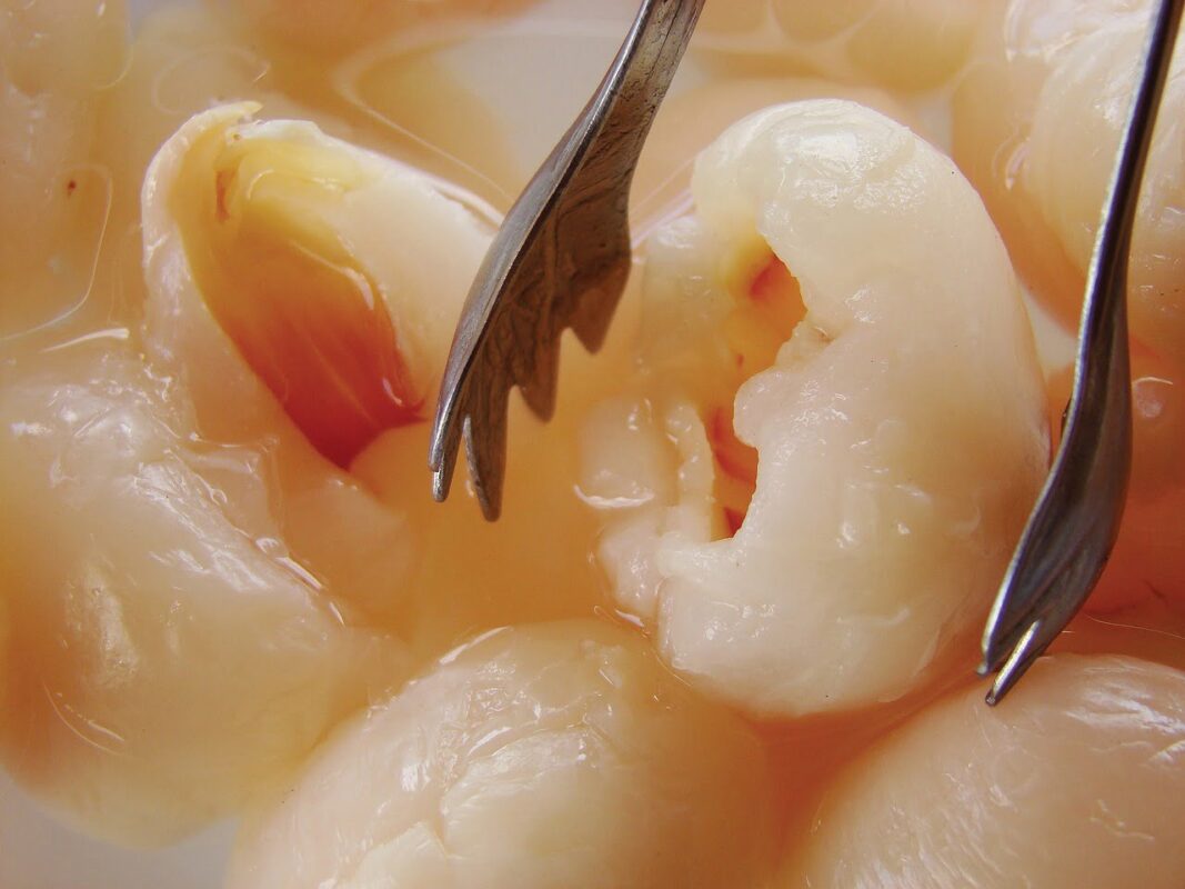 PREPARACIÓN DEL LICHI EN ALMÍBAR » Postre casero y delicioso