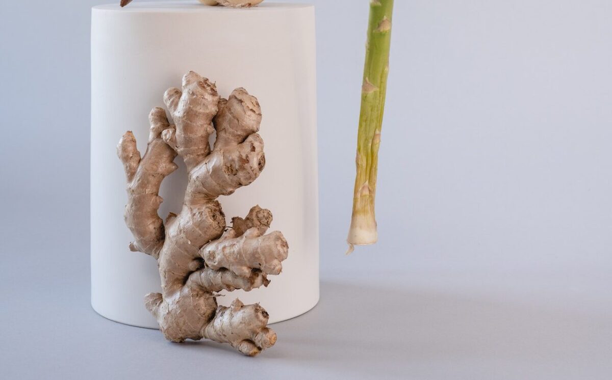 BENEFICIOS DEL JENGIBRE » Digestivo, contra mareos y náuseas