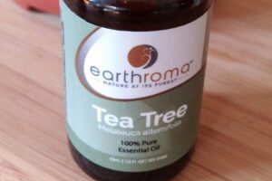 ACEITE DE ÁRBOL DE TÉ » Beneficios, propiedades y usos