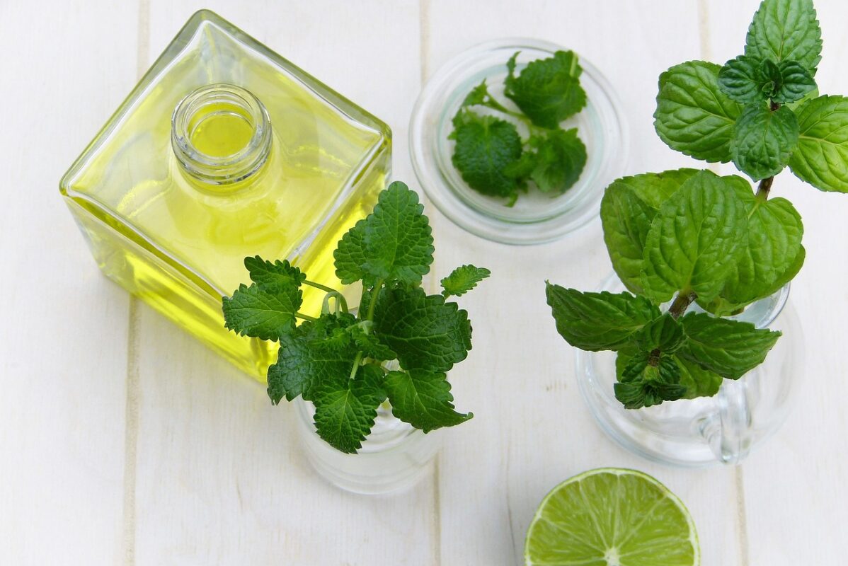ACEITE DE MENTA » Los mejores tratamientos y beneficios