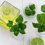 ACEITE DE MENTA » Los mejores tratamientos y beneficios