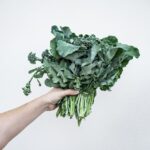 VITAMINAS QUE CONTIENE EL KALE » Propiedades del super alimento