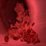 ÁCIDO LÁCTICO EN LA SANGRE