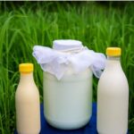 ALIMENTOS QUE CONTIENEN ÁCIDO LÁCTICO