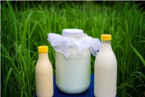 ALIMENTOS QUE CONTIENEN ÁCIDO LÁCTICO