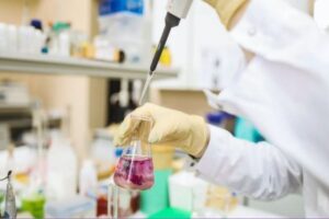 Ácido Perclórico en la Industria. Foto de Polina Tankilevitch. Pexels