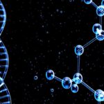 ÁCIDOS NUCLEICOS » Propiedades, Función y Fórmula ESTRUCTURA DE LOS ÁCIDOS NUCLEICOS