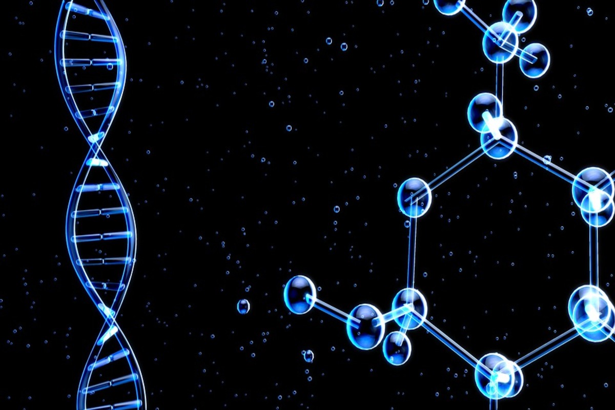 ESTRUCTURA DE LOS ÁCIDOS NUCLEICOS