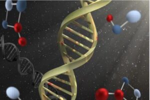 Función de los Ácidos Nucleicos. Foto de french1944. Pixabay