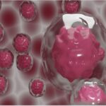 ÁCIDOS NUCLEICOS » Propiedades, Función y Fórmula ÁCIDOS NUCLEICOS EN LA BIOLOGÍA