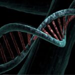 ÁCIDOS NUCLEICOS » Propiedades, Función y Fórmula POLINUCLEÓTIDOS DE LOS ÁCIDOS NUCLEICOS