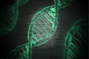 POLÍMEROS DE LOS ÁCIDOS NUCLEICOS