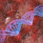 ÁCIDOS NUCLEICOS » Propiedades, Función y Fórmula PROPIEDADES DE LOS ÁCIDOS NUCLEICOS