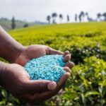 SULFATO DE MAGNESIO » Beneficios, Propiedades y Contraindicaciones SULFATO DE MAGNESIO COMO FERTILIZANTE