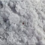 SULFATO DE MAGNESIO » Beneficios, Propiedades y Contraindicaciones SULFATO DE MAGNESIO HEPTAHIDRATADO