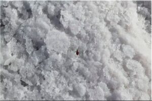 SULFATO DE MAGNESIO HEPTAHIDRATADO