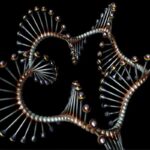 ÁCIDOS NUCLEICOS » Propiedades, Función y Fórmula Tipos de ARN en los Ácidos Nucleico. Foto de TheDigitalArtist. Pixabay