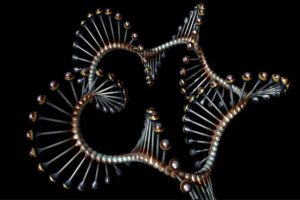 Tipos de ARN en los Ácidos Nucleico. Foto de TheDigitalArtist. Pixabay