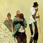 TOXICIDAD DEL SULFATO DE COBRE