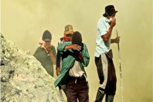 TOXICIDAD DEL SULFATO DE COBRE