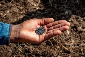 Usos del Ácido Sulfúrico » Químico, Agrícola, Alimenticio y Cosmético