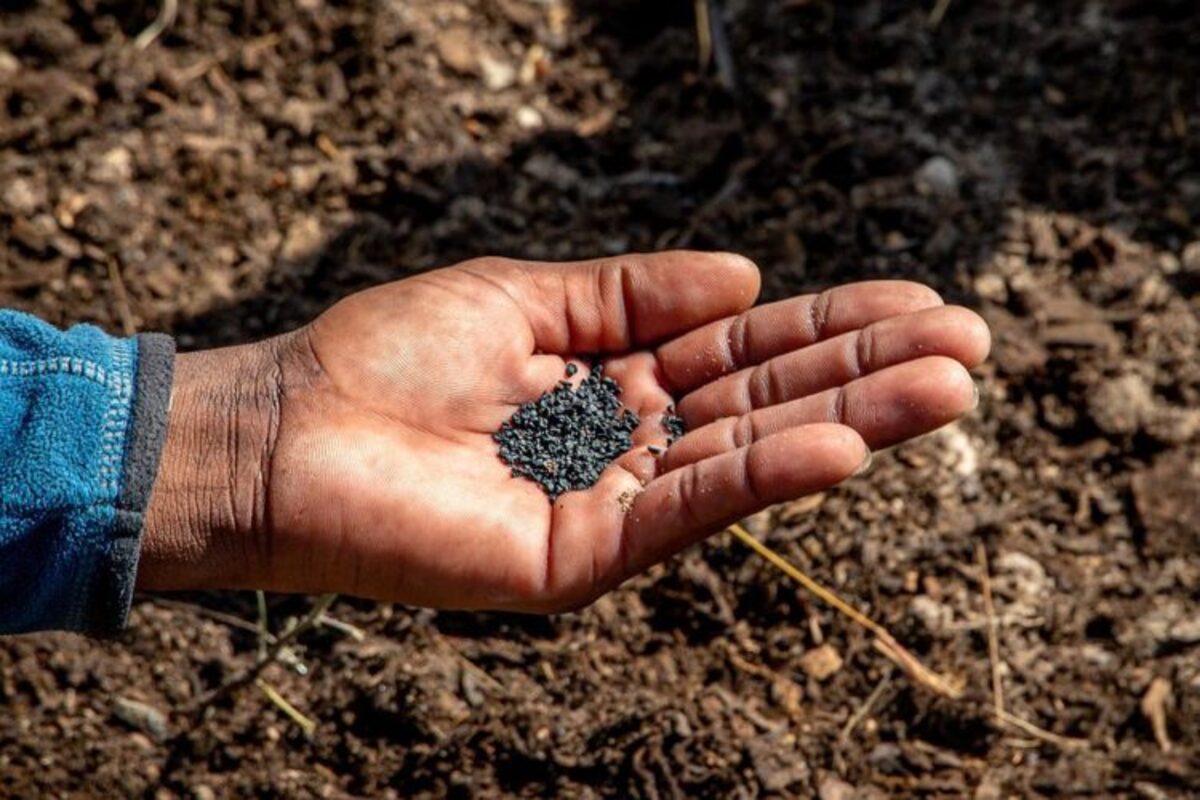 Usos del Ácido Sulfúrico » Químico, Agrícola, Alimenticio y Cosmético