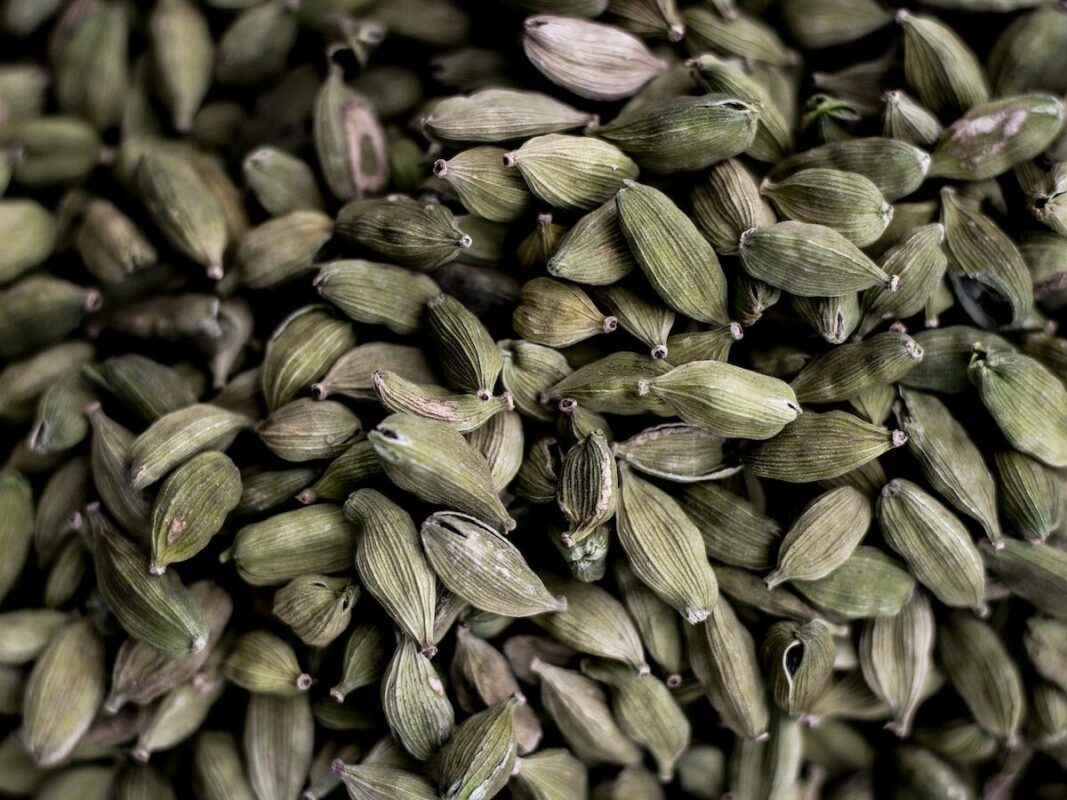 Beneficios del Cardamomo. Photo by Mousum De. Unsplash.