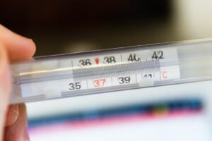 ENFERMEDADES QUE TRANSMITEN LAS CUCARACHAS » Tipos y tratamientos
