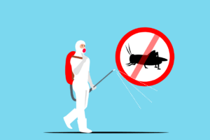 INSECTICIDAS CONTRA CUCARACHAS » Productos, efectividad y más