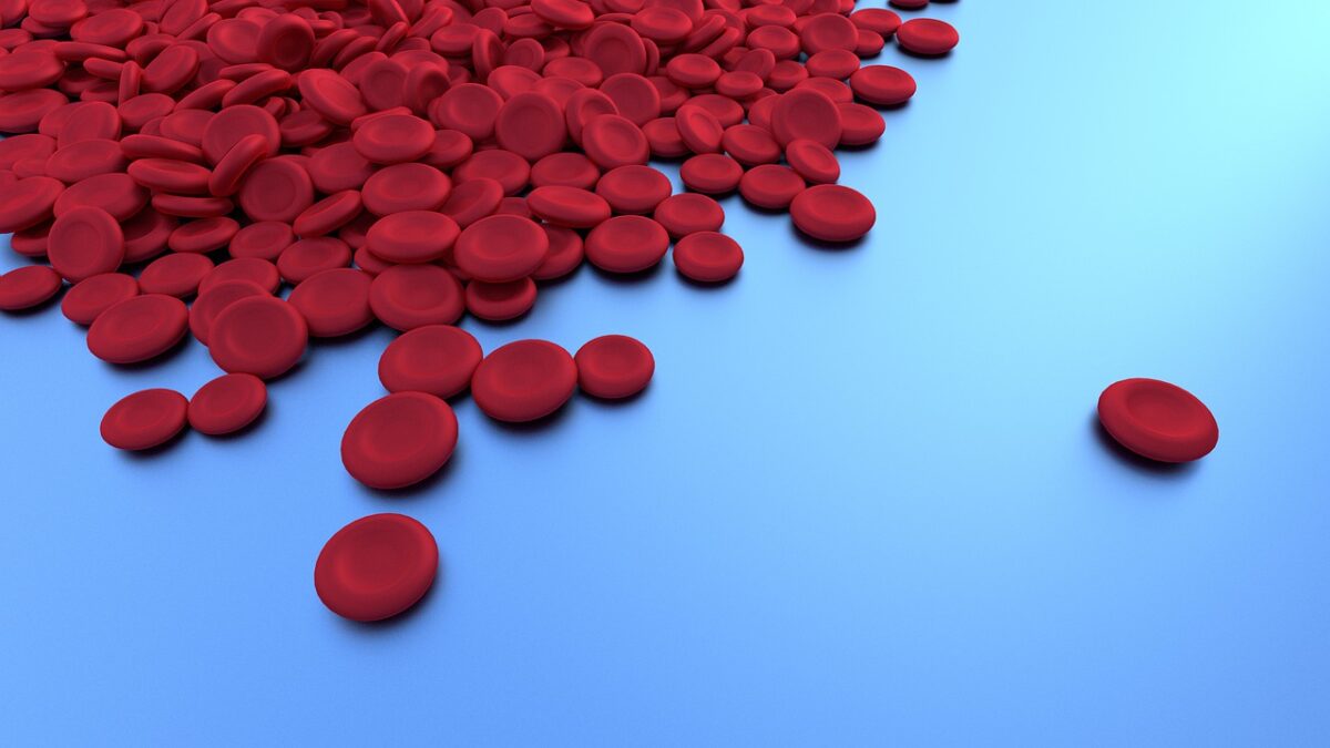 Leucocitos Altos: Problemas y Enfermedades Asociadas