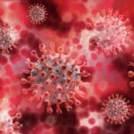 Leucocitos Bajos: Causas y Consecuencias