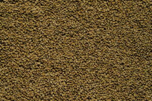 Cultivo de las Semillas de Fenogreco. Foto por Eva Bronzini. Pexels.