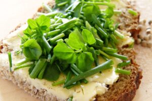 Recetas con Espelta » Propiedades Saludables y Veganas. Foto por silviarita. Pixabay.