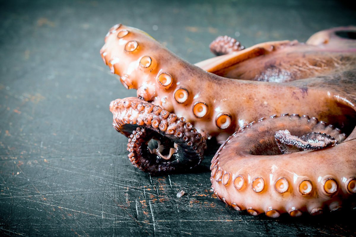 Cocer pulpo